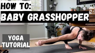TUTORIAL-- Baby Grasshopper Pose (Grasshopper variation), Great for Beginners