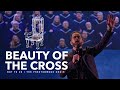 Beauty Of The Cross