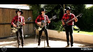 Se mamo el becerro - Ahijados de Moreno (En vivo 2018)