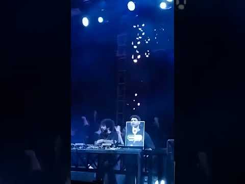 Cat Dealer - Tarja preta - aniversário 10 años