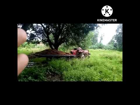 Massey 30 DI gober ke trolley per