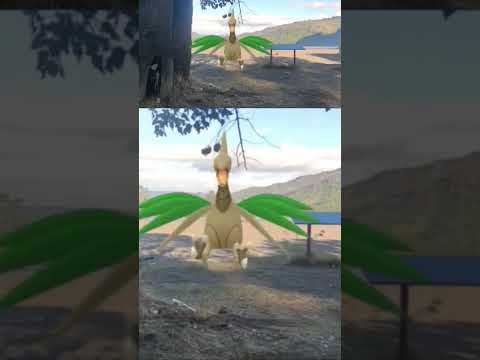 Terminando una ruta en el río Bio Bío, Hualqui #pokemongo #zygarde #celula