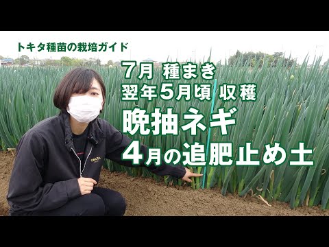 春に良いスタートを切るために、キョウチクトウにいつ肥料を与えればよいでしょうか?なんの天然肥料？  庭園