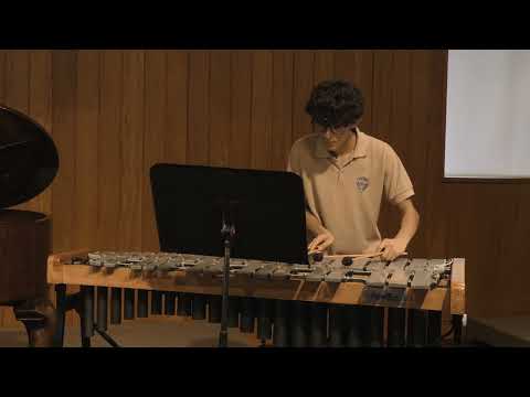 Carlos Sanchez - Satyre de Emmanuel Séjourné on Vibraphone and Piano