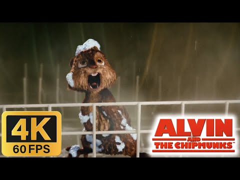 Alvin and the Chipmunks (2007) - Alvin in the Dishwasher [4K/60FPS]