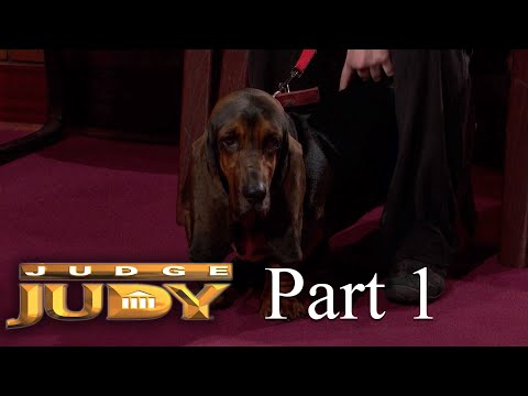 Dispute over Daisy's Dog Boarding Bill | Part 1