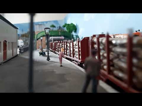 Irish model railway layout