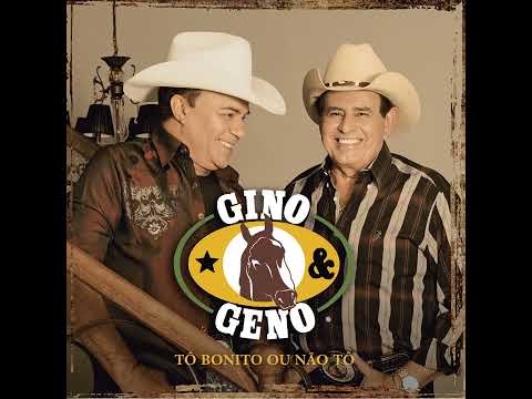 Gino geno    canário qui canta