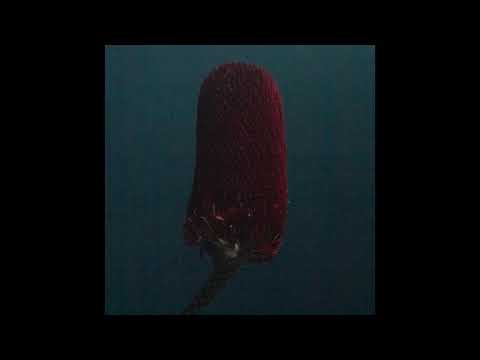 Sarah Blasko: Sounds Of Then (This Is Australia) - Official Audio