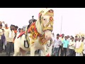 Horse Dancing Video Funny Animals Video