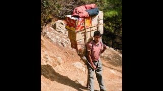 Blood drive and sherpa drawing results