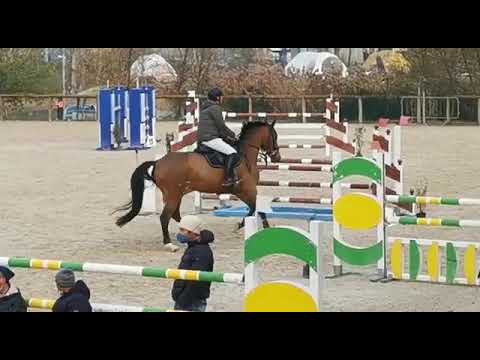 * SOLD * Imkie LM (2014 Toulon) clear 1.15 Narni