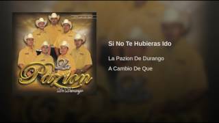 Si No Te Hubieras Ido