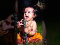 Janmashtami Status 2023 Hari Dukh Harta Hari Sukh Karta Krishna Status Viral Janmashtami