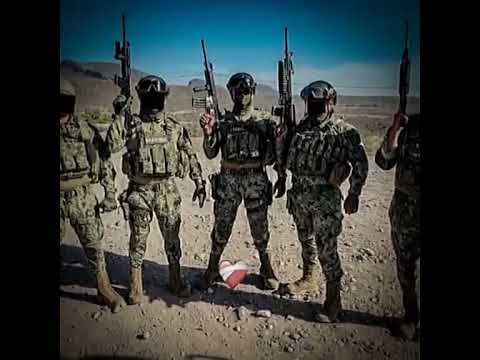 Edit de la marina de México #edit #shorts #short #military #mexico #marina #semar #metas #2🇲🇽⚓