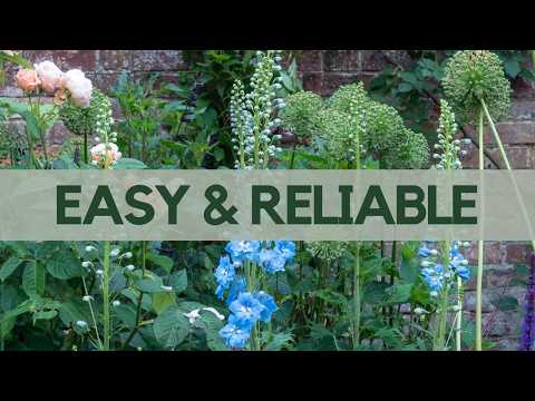 The Cottage Garden Flowers That Actually Thrive (Not Just Look Pretty!)