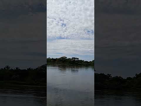 ART'S DA NÔ rio taquari Coxim -Mato Grosso do Sul Pantanal
