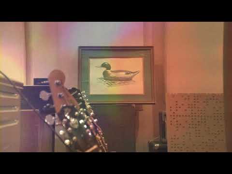 Midlake - "Eyes Full of Animal" (Official Visualizer)