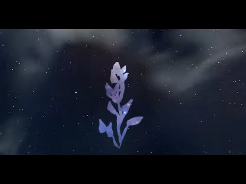 Ron Trent presents WARM - Flos Potentia (Sugar, Cotton, Tabacco) feat. Khruangbin (Official Video)