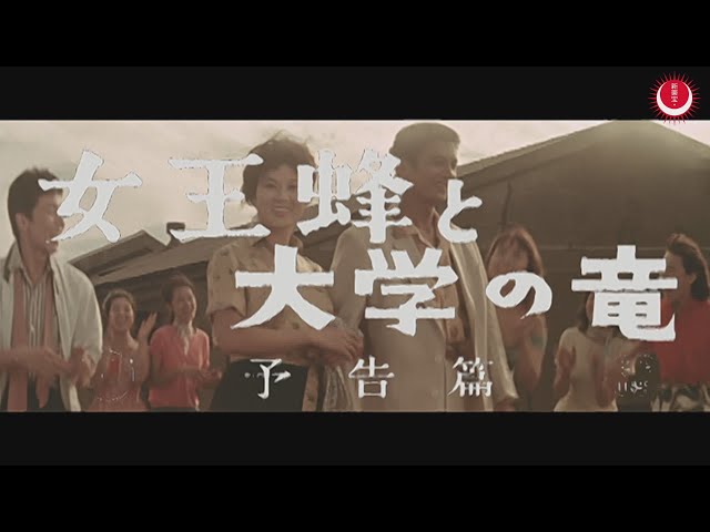 女王蜂と大学の竜 予告編