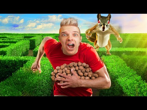 AN ANGRY SQUIRREL WANTS TO EAT ME! 🐔😱