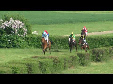 Šurany 7.5. Dostihy 7 - Cena spoločnosti DAN AGRO HOLDING s.r.o