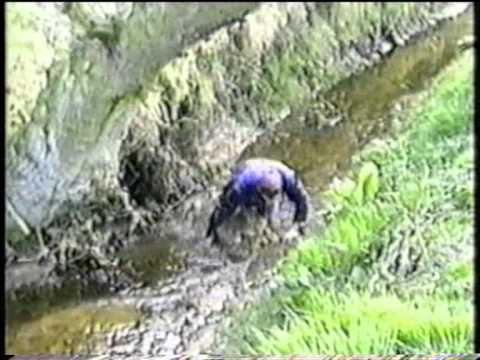 Dumber & Dumber Part 1