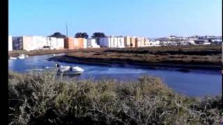 preview picture of video 'corupcion coquina ayamonte city.wmv'