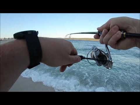 Topwater fishing for Saddled bream with Duo Bay Ruf Manic 88