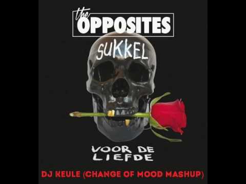 The Opposites - Sukkel Voor De Liefde ft. Mr. Probz - DJ Keule (Change The Mood Mashup)