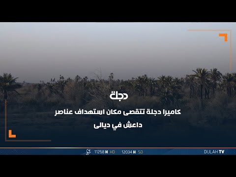 شاهد بالفيديو.. مواطنون في ديالى: الضربات الموجعة تفتح أبواب المناطق المحررة لعودة المهجرين