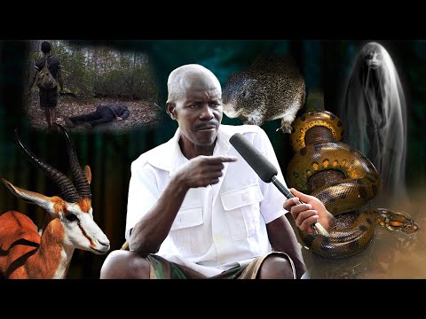The Adventures Of An Ex-military Hunter, The Killing Of A Python, And A Witch Woman turned bushmeat