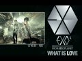 EXO-K「 WHAT IS LOVE 」COVER (Korean Ver.) 
