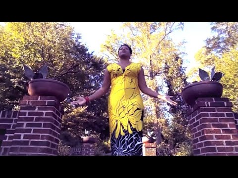 Promotional video thumbnail 4 for Dionne D. Hunter