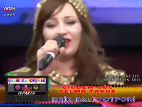 selma yavuz çiğdem gül erik dalı