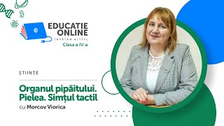 Organul pipăitului. Pielea. Simțul tactil