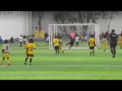 Goles de Flavio Collantes