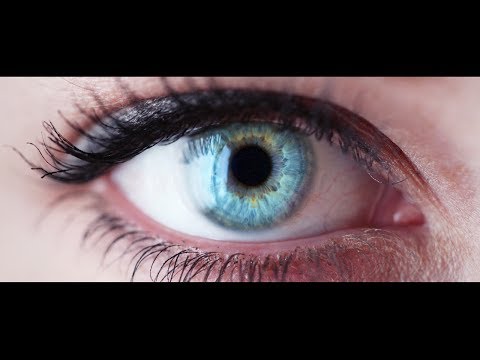 PHI: The Evolution of Consciousness Trailer