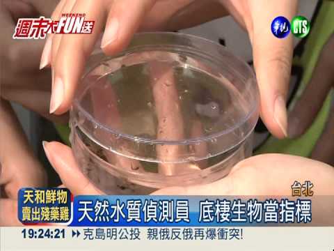 探索水中奧秘 濕身撈底探測水質