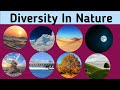 Diversity In Nature Name Of Nature In English