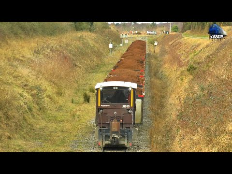 Narrow Gauge Freight Trains in Ireland  🚂 Bord na Móna Railway - 24 February 2023
