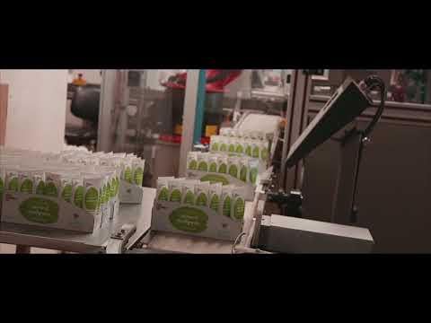 YouTube video 8dbVueJYH7k