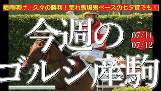 今週のゴールドシップ産駒 (07/11,12)【梅雨明け、久々の勝利！荒れ馬場鬼ペースの七夕賞でも！／マイネルモーントほか】