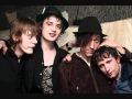 Babyshambles - Gang of Gin (With Lyrics) 