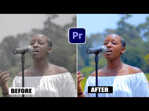 How to Color Grade Music Video in Adobe Premiere Pro for Beginners ( Tutorial )