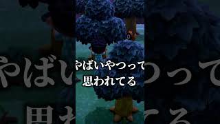 どうぶつの森面白集#１ #孝 #ゲーム実況#配信してます