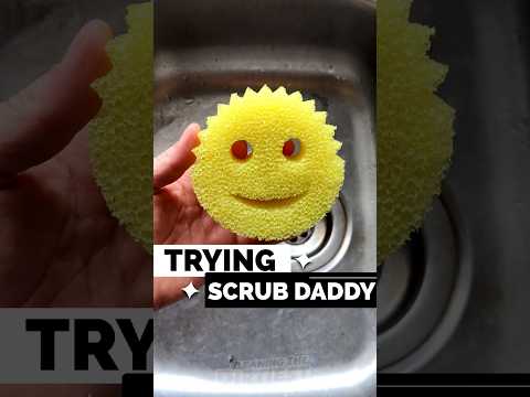 Trying Scrub Daddy! Does It Really Work?