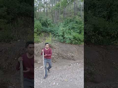 teyzenin tavuğuna tilki geldi😲 #funny #komikbnwbb #komedi #comedy #animals #yotubeshorts #fyp