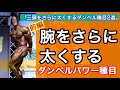 【前編】三頭をさらに大きくするダンベル種目2選~ダンベルで行う三頭筋のパワー種目~