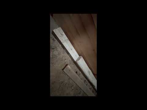 Videoklipp